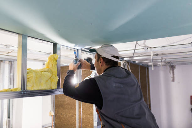 Best Basement Insulation  in Pelican Bay, FL